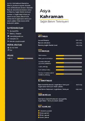 Tekniker ve Teknisyen Cv Örnekleri cv indir